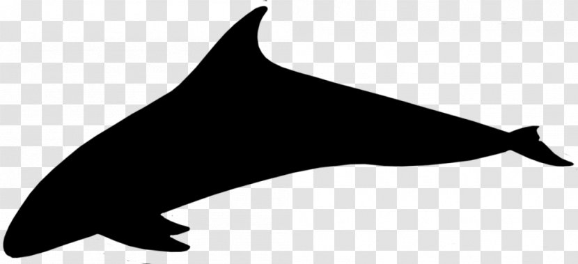Dolphin Porpoise Clip Art Silhouette Line - Fin Transparent PNG