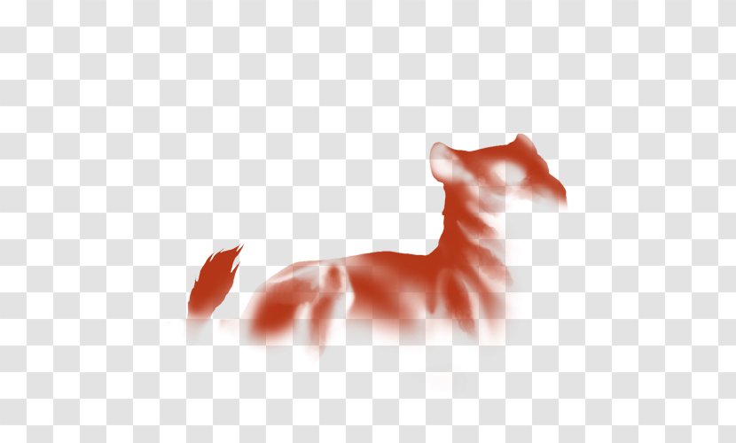 Whiskers Lion Kitten Dog Male - Cat Like Mammal Transparent PNG