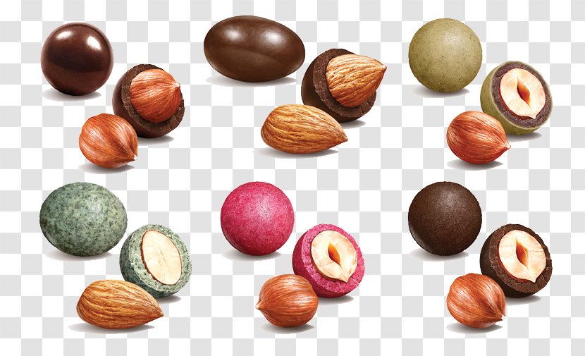 Chocolate Nut Dried Fruit - Praline - Hand-painted Nuts Transparent PNG