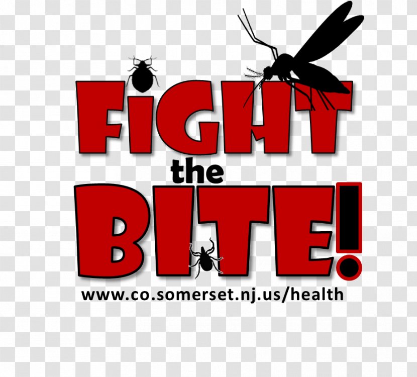 Mosquito-borne Disease CDC Clip Art Dengue Fever - Flyer - Fight Fear Of Public Speaking Transparent PNG