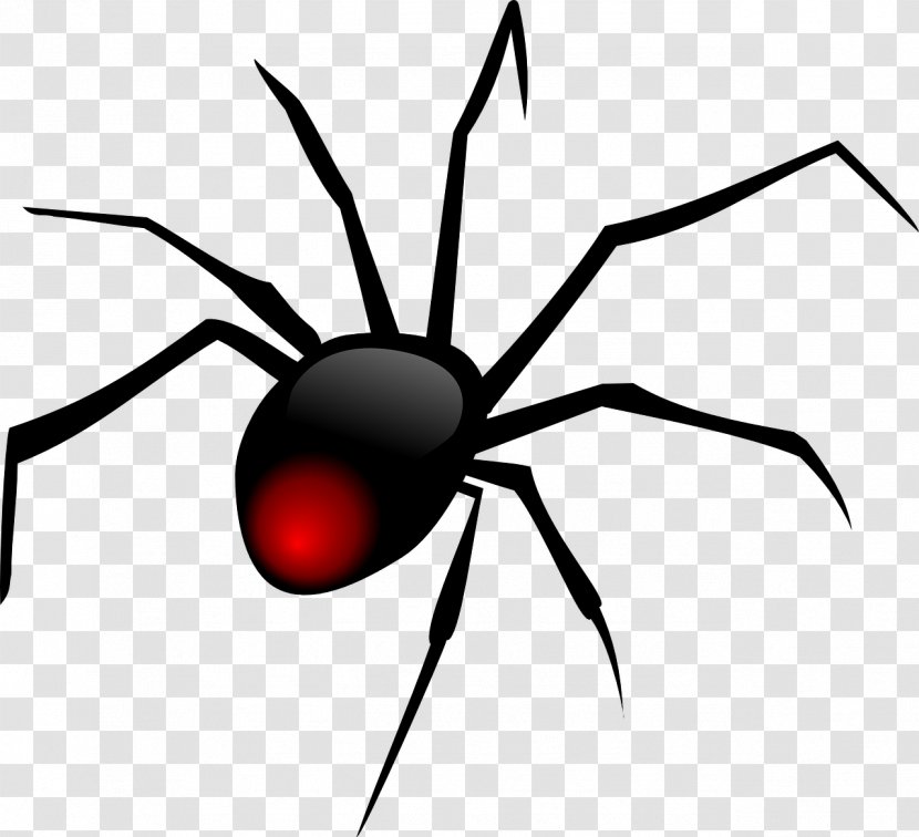 Redback Spider Clip Art - Web - Black Transparent PNG