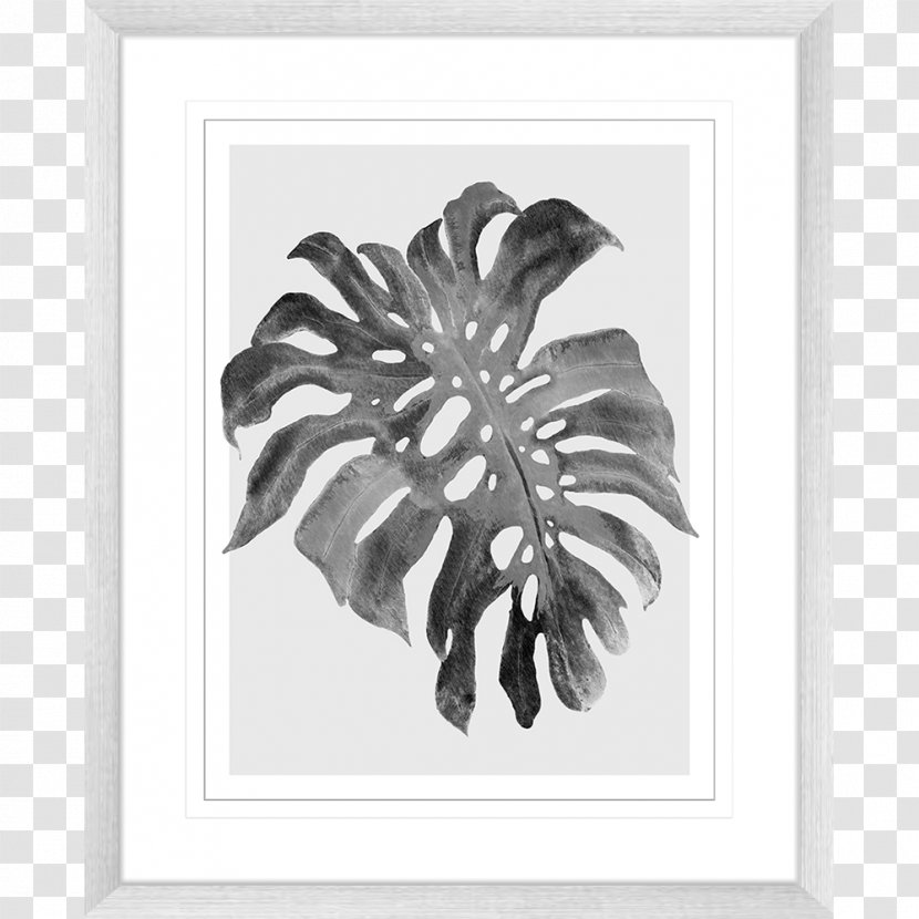 Swiss Cheese Plant Printmaking Art Drawing Paper - Monstera Transparent PNG