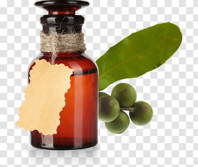 Macadamia Oil Vegetable Castor Essential - Liquid Transparent PNG