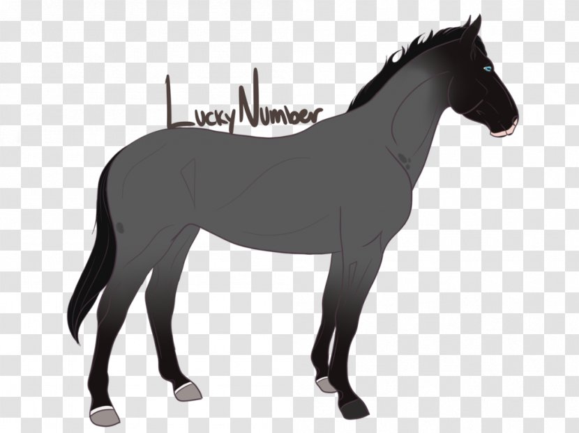 Pony Mare Stallion Mustang Foal - Horse - Gentle And Quiet Transparent PNG