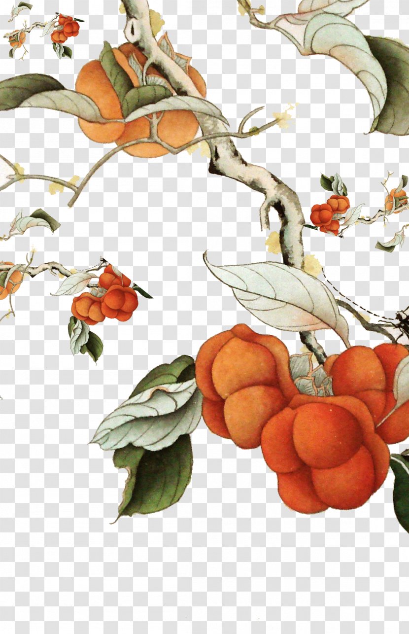 Persimmon Marriage Ink Wash Painting - Fruit - Tree Transparent PNG