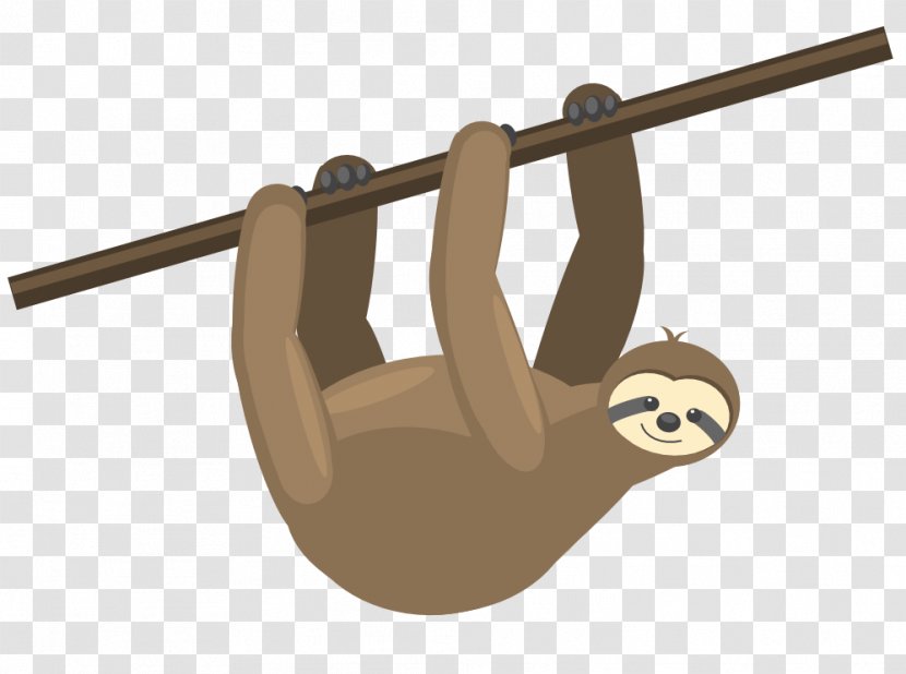 Sloth Video Animal English Language Cartoon - Watercolor - Hanging Transparent PNG