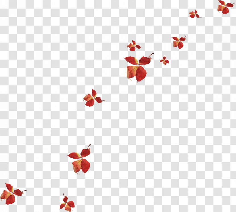 Leaf Yellow - Red - Floating Transparent PNG