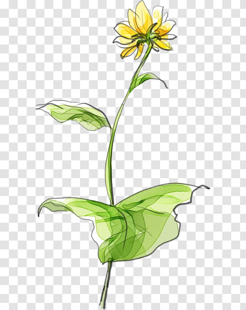 Floral Design Common Sunflower Designer Creativity - Hand Painted Creative Material Download Transparent PNG