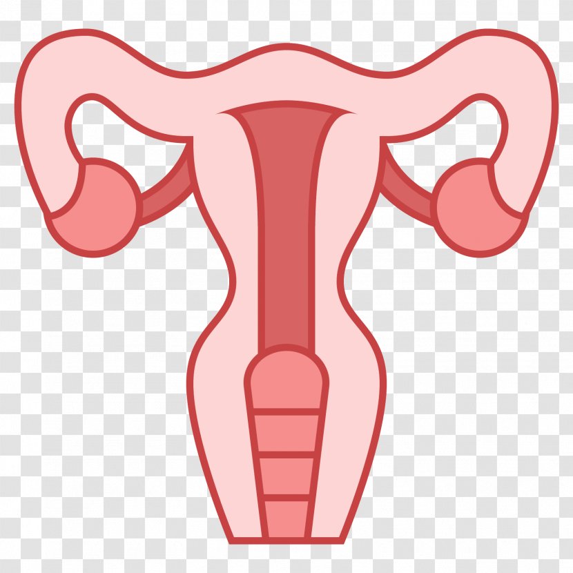 Uterus Endometrium Endometriosis Myometrium Endometrial Cancer - Horn - Endometrioma Transparent PNG