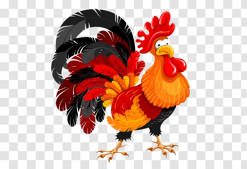 Chicken Rooster Illustration - Cock Transparent PNG