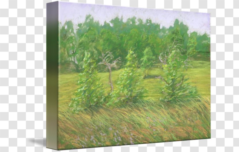Painting Acrylic Paint Drawing Oil Pastel - Agriculture Transparent PNG