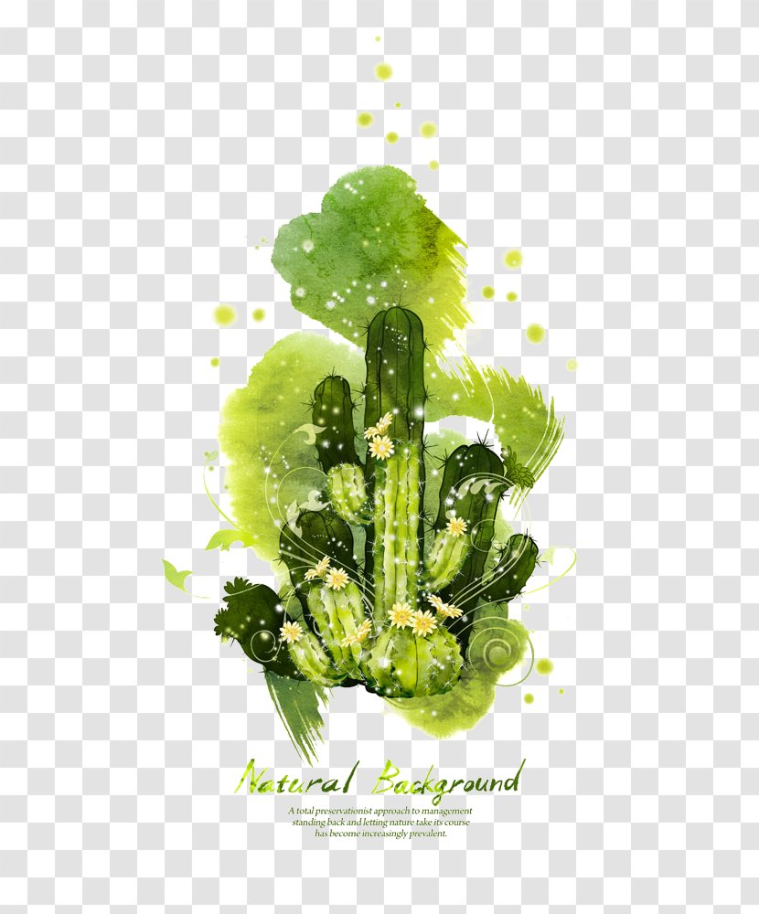 Cactaceae Cdr Illustration - Motif - Cactus Background Transparent PNG