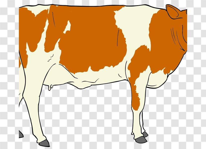 Taurine Cattle Clip Art Beef Calf Vector Graphics - Serape Transparent PNG