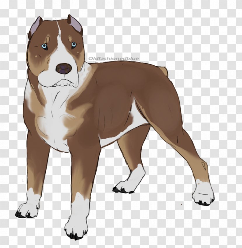 American Staffordshire Terrier Pit Bull Dog Breed - Pitbull Transparent PNG