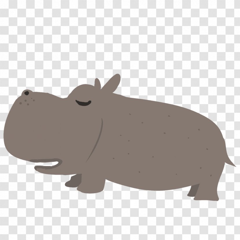 Hippopotamus Pig Animal Mammal - Fauna - Kaba Transparent PNG