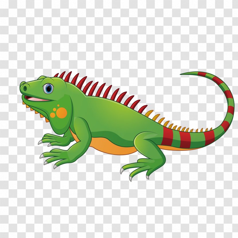 Lizard Chameleons Green Iguana Reptile Transparent PNG
