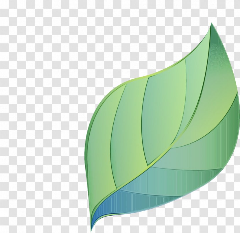 Green Leaf Watercolor - Botany - Flower Logo Transparent PNG