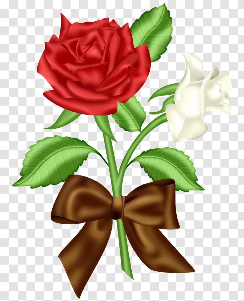 Blue Rose Flower Clip Art - Petal - One Red And White Roses Transparent PNG