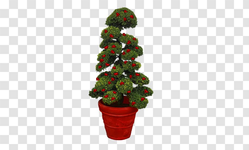 Christmas Tree Ornament Flower - Plant Transparent PNG