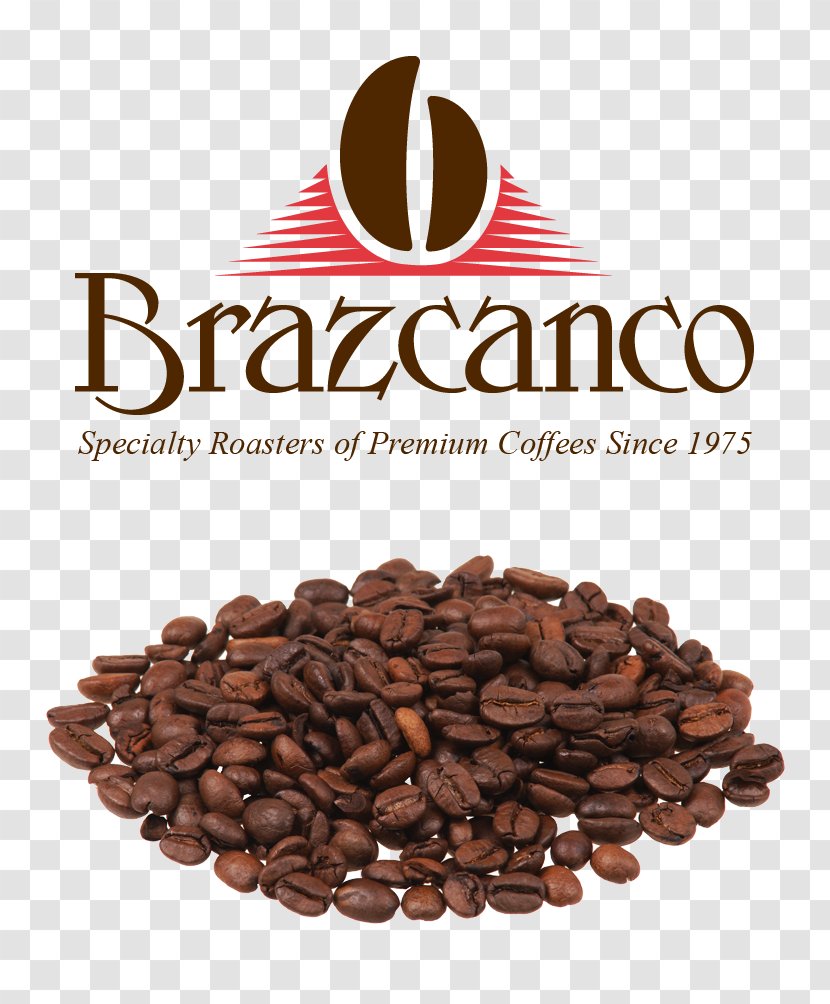 Coffee Bean Cafe Instant Jamaican Blue Mountain - Kona - Brazilian Transparent PNG