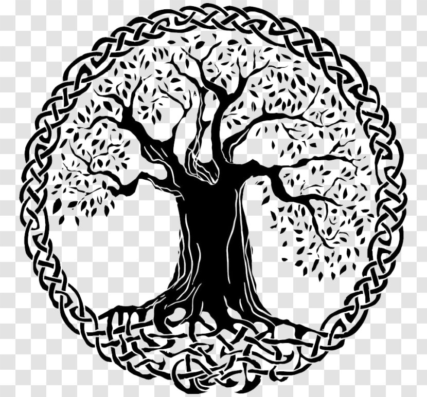 Celtic Sacred Trees Tree Of Life Art Celts - Watercolor Transparent PNG