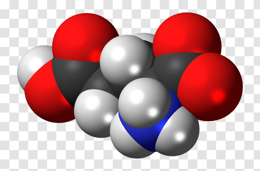 Glutamic Acid Zwitterion Amino Space-filling Model - Amine - Molecule Transparent PNG