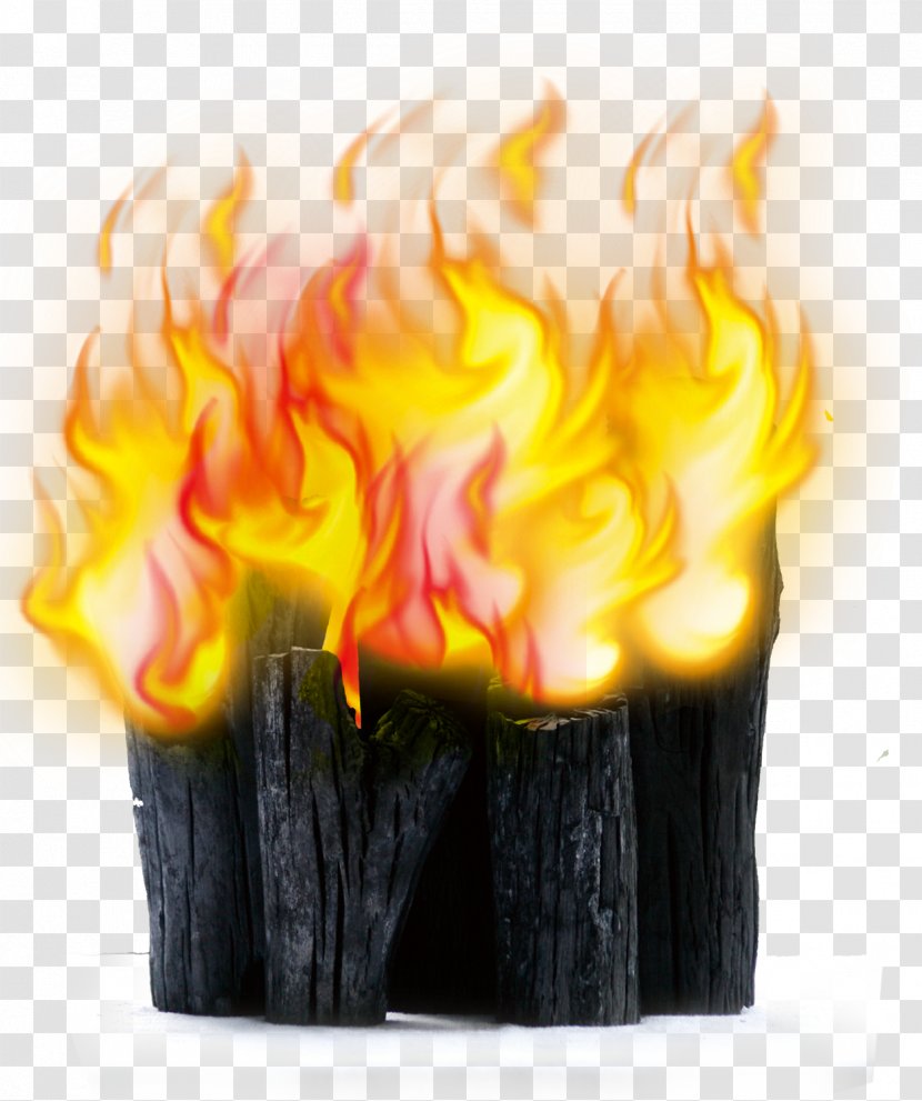 Chinese Cuisine Firewood Poster - Beautiful Wood Flame Transparent PNG