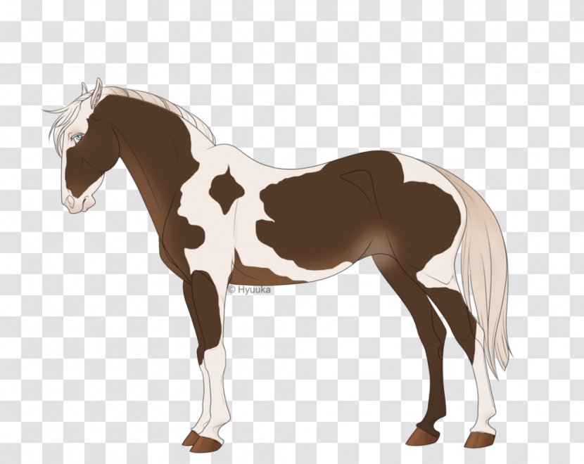 Mustang Stallion Foal Mare Colt - Horse Tack Transparent PNG