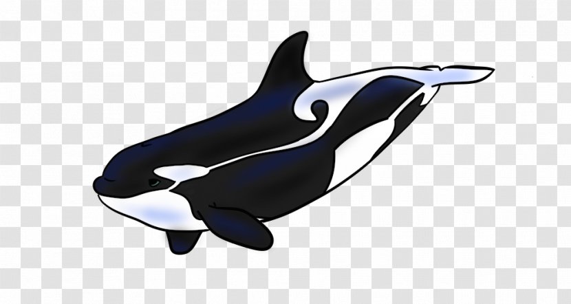 Killer Whale White-beaked Dolphin Cetacea Transparent PNG