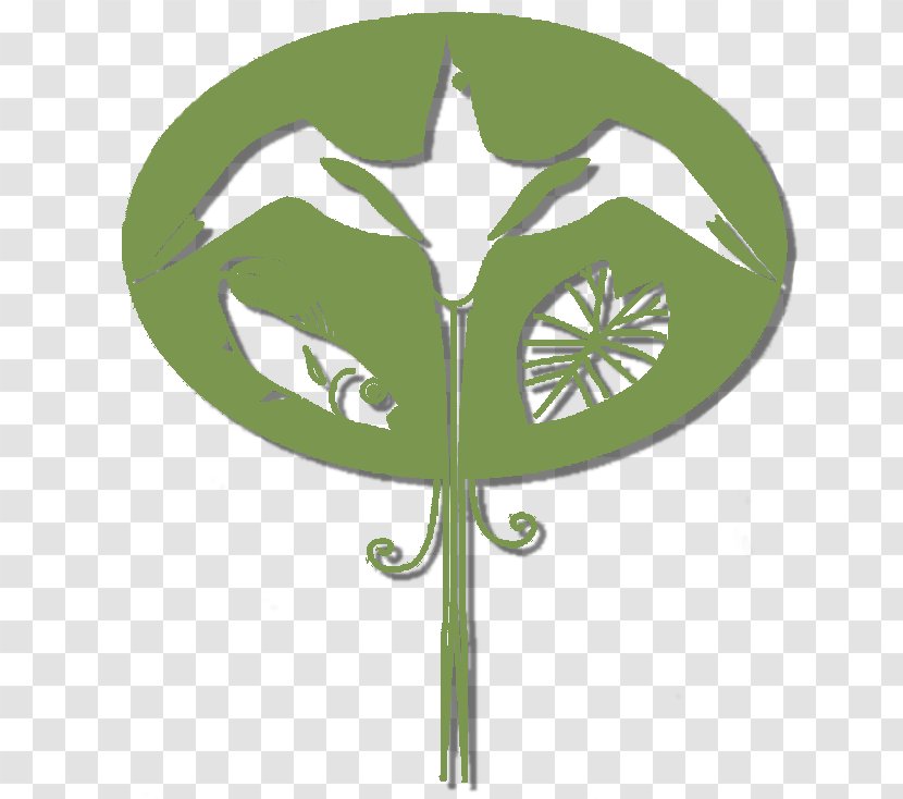 Leaf Plant Stem Tree Flower - Symbol - Educational Services Transparent PNG