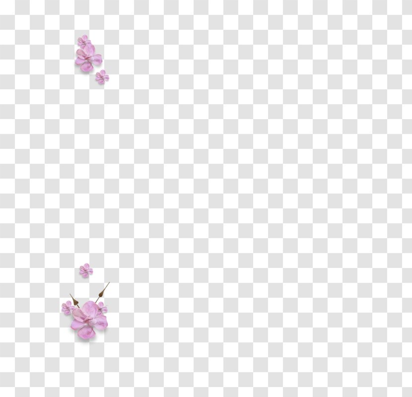 Desktop Wallpaper Amethyst Body Jewellery Petal - Computer - Lilac Transparent PNG