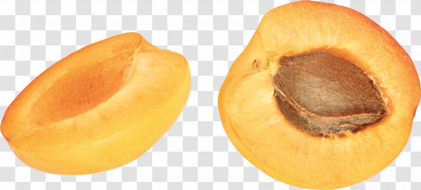 Apricot Fruit Nectarine - Dried Transparent PNG