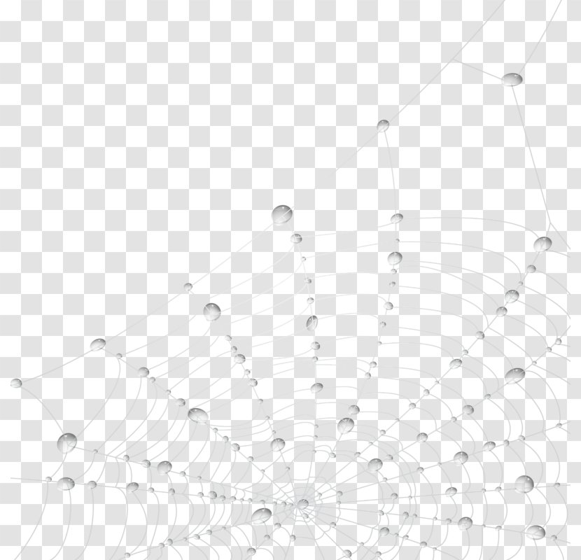 Spider Web - With Water Droplets Transparent PNG