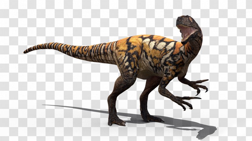 Tyrannosaurus Australovenator Velociraptor Australian Age Of Dinosaurs Muttaburrasaurus - Walking With - T Rex Transparent PNG