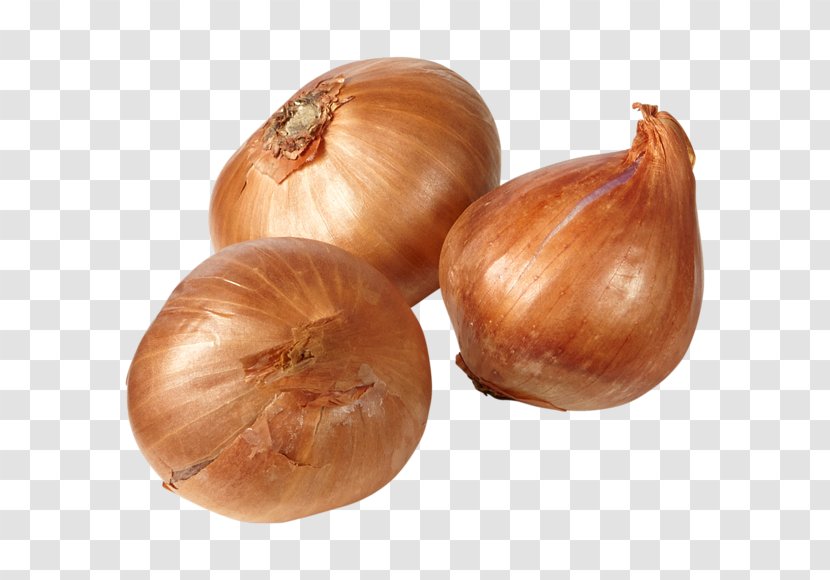 Yellow Onion Shallot - Vegetable Transparent PNG