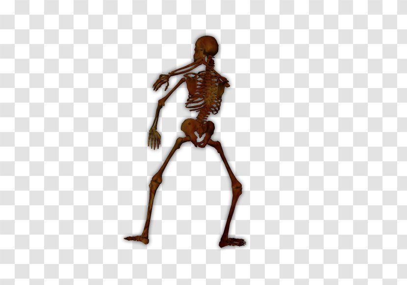 Joint Skeleton Homo Sapiens Figurine - Organism Transparent PNG