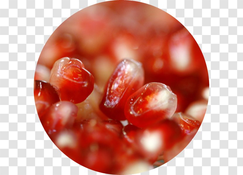 Cranberry Close-up - Fresh Pomegranate Transparent PNG