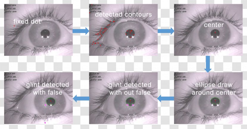 Eye Tracking Pupil Iris - Silhouette Transparent PNG