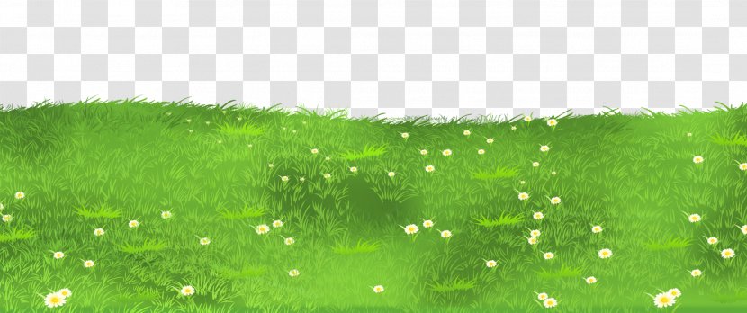 Lawn Grasses Clip Art - Green - Grass Ground With Daisies Clipart Transparent PNG
