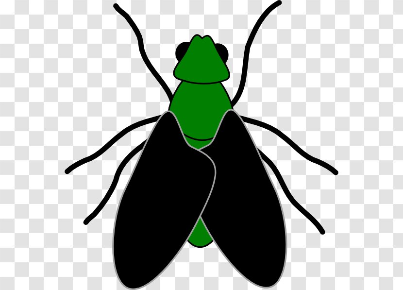 Fly Free Content Website Clip Art - Membrane Winged Insect - Cartoon Picture Of A Transparent PNG