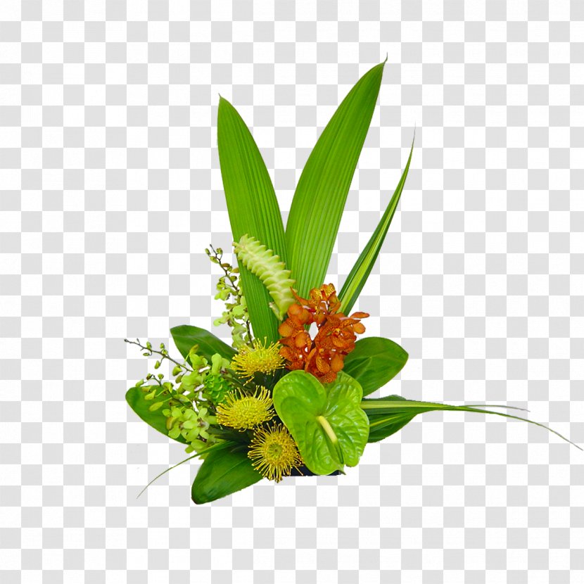 Hawaii Flower Bouquet - Tropical Transparent PNG