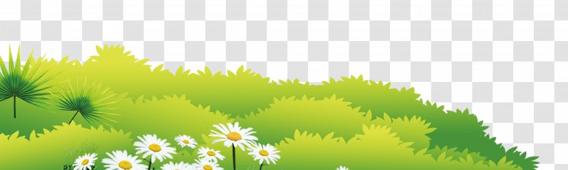 Lawn Meadow Download Google Images - Yellow - Grass Background Chrysanthemum Transparent PNG