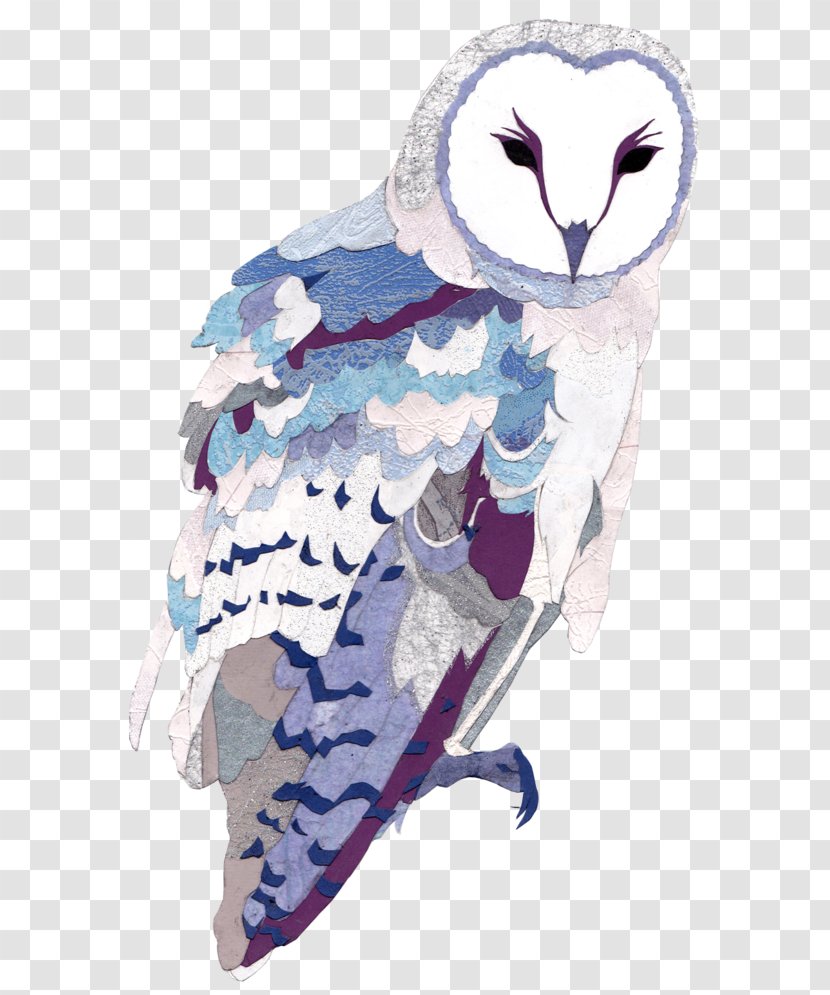 Owl Beak Illustration Feather - Organism Transparent PNG