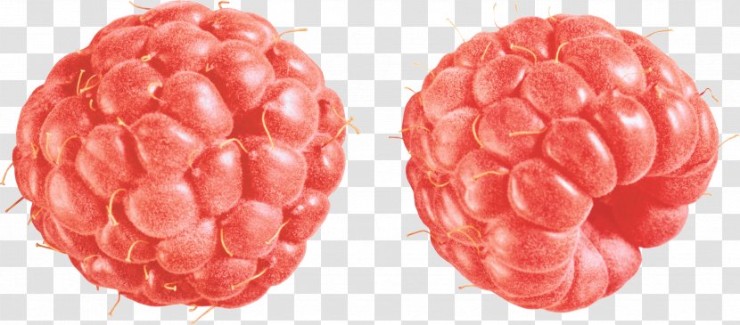Raspberry Clip Art - Superfood - Rraspberry Image Transparent PNG
