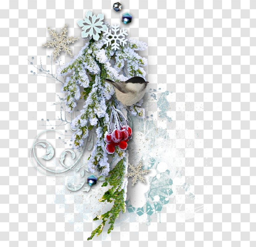 Christmas Picture Frame New Year - Snow Transparent PNG
