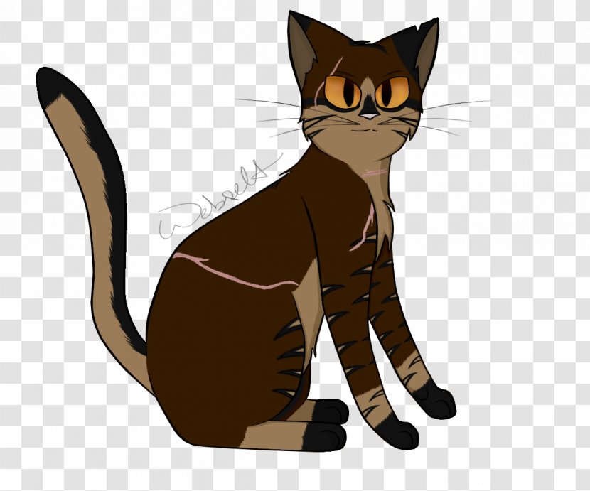 Whiskers Kitten Domestic Short-haired Cat Tabby - Small To Medium Sized Cats Transparent PNG