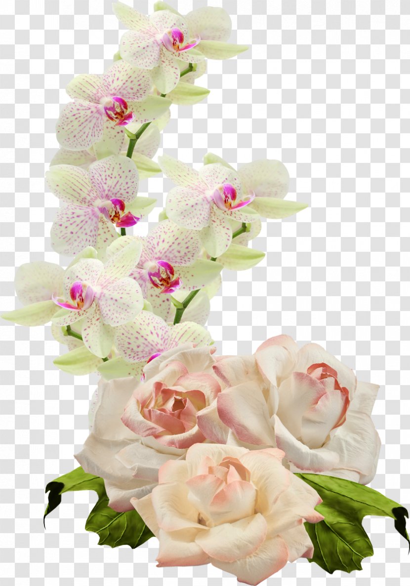 Floral Design Cut Flowers Moth Orchids - Flower Transparent PNG