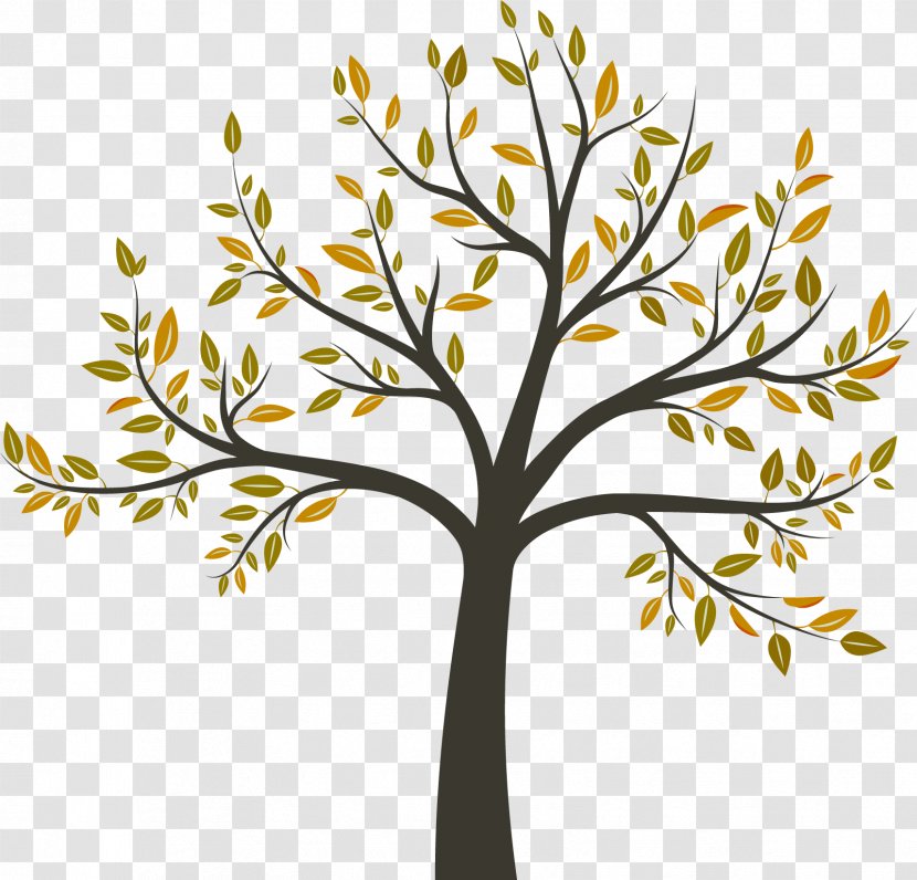 Tree Arborist Arboriculture - Leaf Transparent PNG