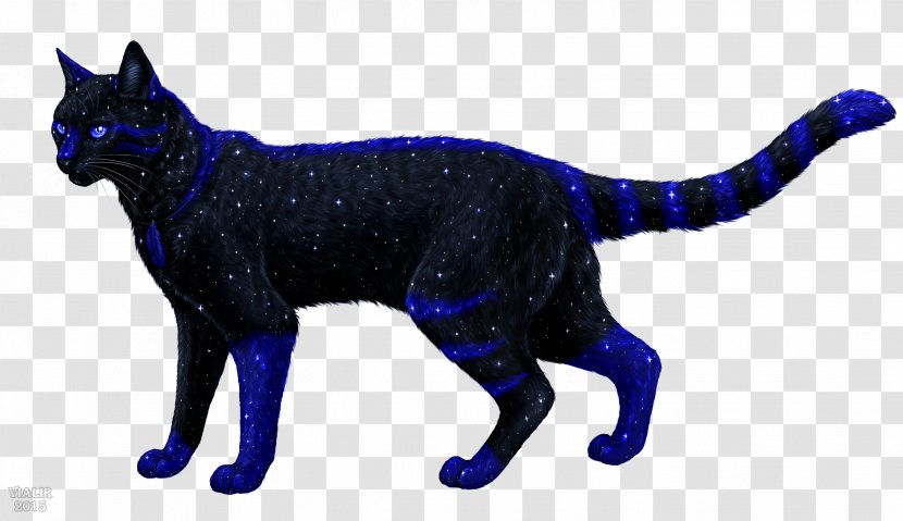 Black Cat Whiskers Dog Drawing - Carnivoran Transparent PNG