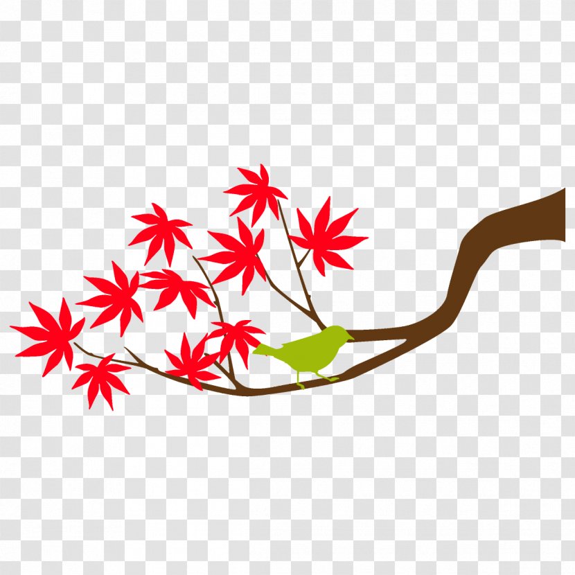 Maple Branch Leaves Autumn Tree - Plant - Leaf Transparent PNG